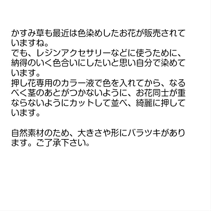 楽天市場 送料無料 押し花 素材 かすみ草 ５色セット レジンアクセサリー スマホケース 押し花額 固まるハーバリウム キャンドル ウエルカムボード 結婚証明書 クリアフレーム 褪色しない 染め カラー フラワーズリーベ