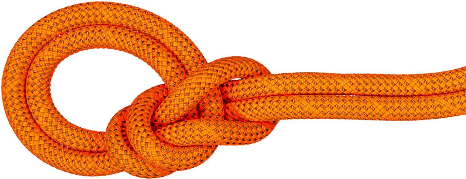 【マラソン期間中 1万円以上で500円OFFクーポン！】 マムート MAMMUT アウトドア 9.8CRAGDRYROPE60M ロープ シングル ハイキング トレッキング クライミング 登山 オールラウンド クラッグ ドライ 2010-05900 201005900