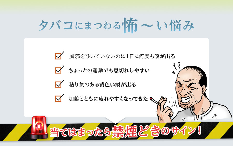 楽天市場 こんなに楽な禁煙があったなんて 禁煙グッズ 離煙パイプ Gr Gs 31本セット 禁煙 日本製 禁煙グッズ 楽な禁煙 電子タバコ ニコチンパッチ 禁煙パイポ とは違う 離縁パイプ 株式会社マジカル