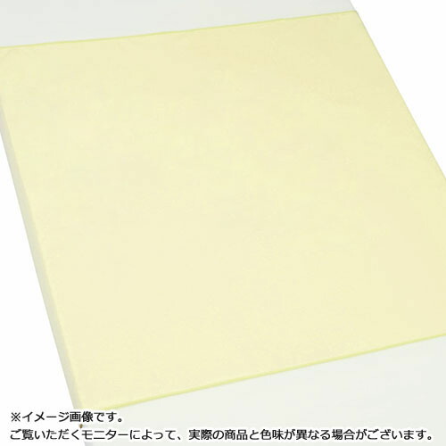 エブケア 雨合羽敷き布 スムースニットタイプ(2層)90×145珊 皮膚軟化剤 30枚