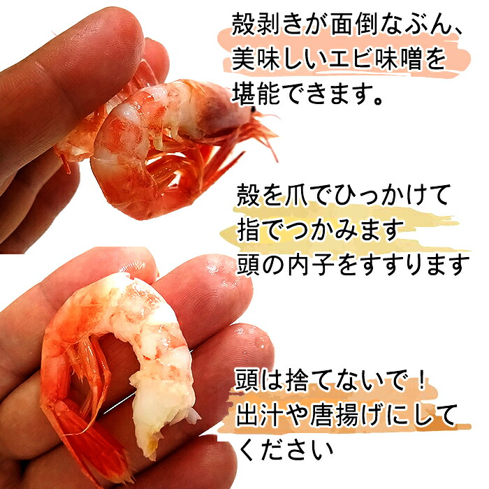 楽天市場 ボイル冷凍甘エビ船上ワンフローズン 500グラム ２袋 1キロ バラで冷凍 旨みしっかり 有頭殻付き えび 甘海老 自然解凍 Ok 内子 海老味噌 ホンホッコクアカエビ 中華食材 無添加 白灼蝦 バイ ズオ シャー 做法 ｅもの海産物 楽天市場支店
