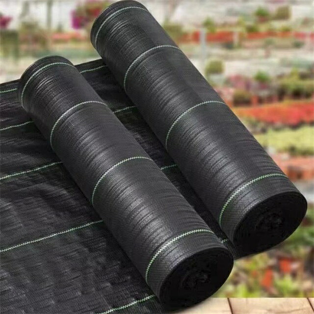 防草シート 1m×100m 50cm×200m 除草シート ロール 雑草防止シート 草除け 防草 シート 農用シート UV剤入り 人工芝 雑草 芝生 草 庭 駐車場 草よけ 雑草防止 雑草対策 生えない 農業 園芸用 ガーデニング 庭 田んぼ 畑 雑草 耐用年数 約7-12年用