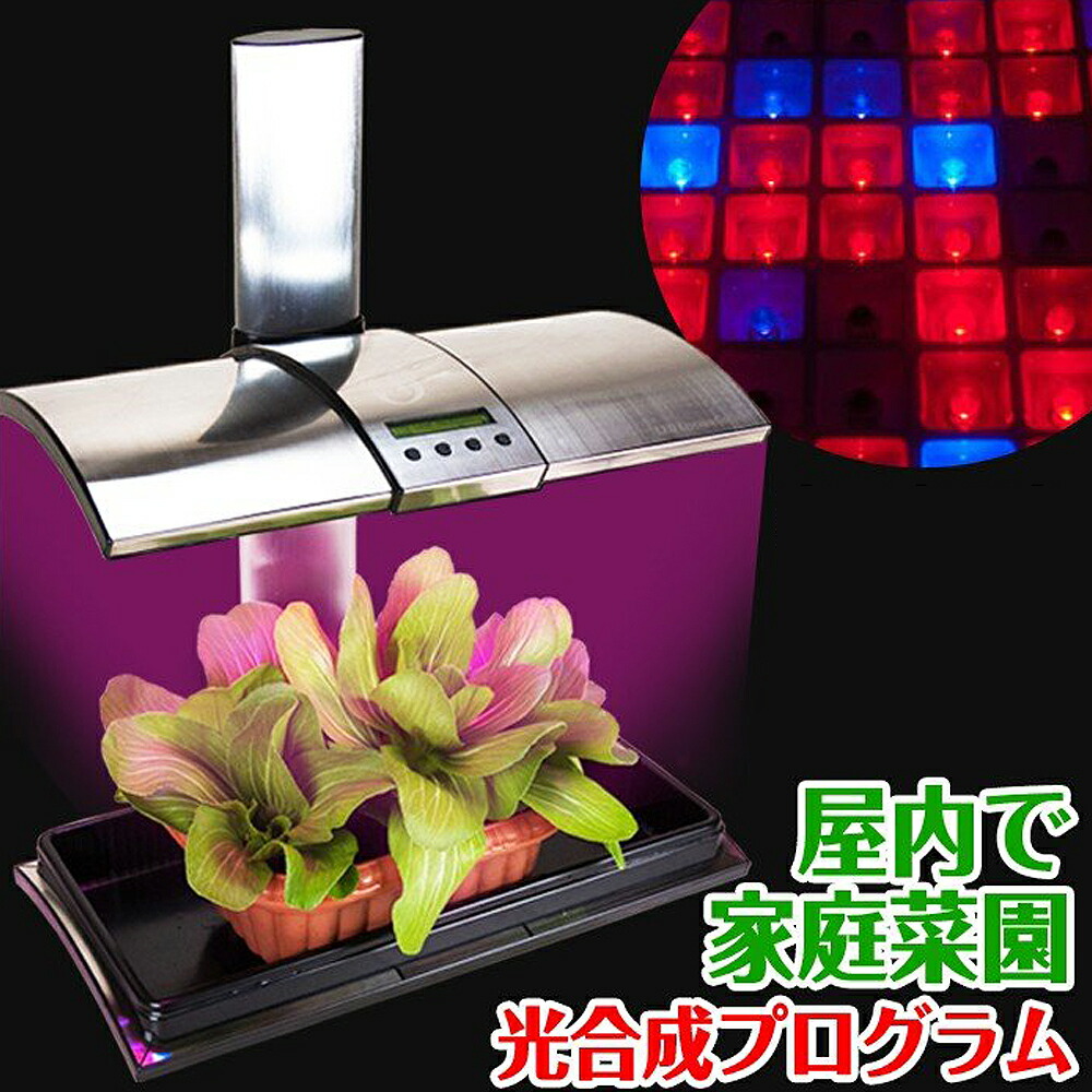 【楽天市場】水耕栽培キット 植物育成 LEDライト付 吊下げ用チェーン ワイヤーフック 【 キッチンガーデン LED Kitchen