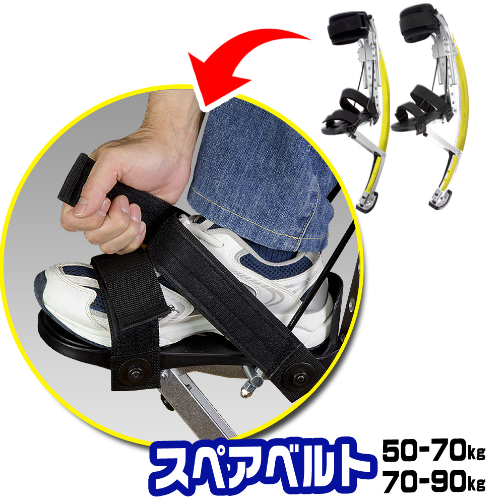 楽天市場】スカイランナー 専用バッグL 50-70kg / 70-90kg 【専用