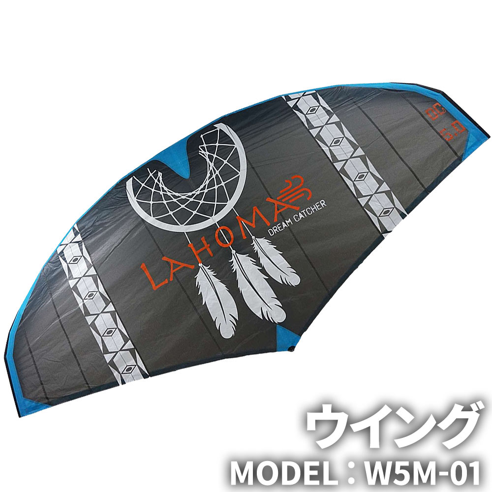 楽天市場】ウイングサーフィン 80Lセット 上級者 【 3点フル