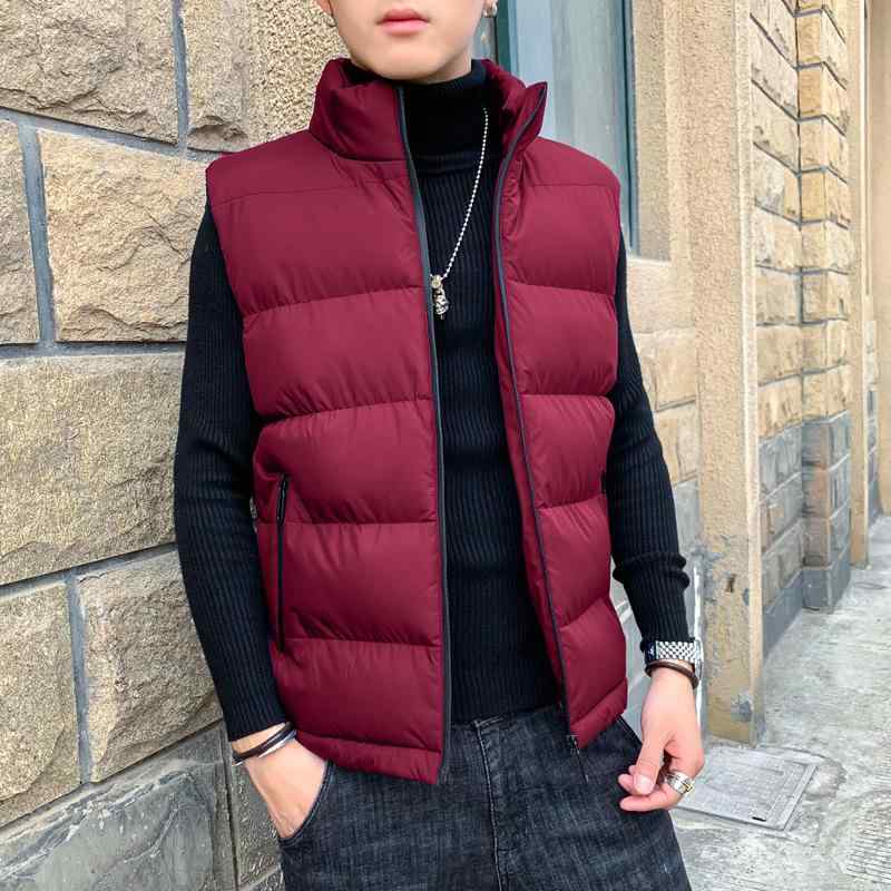 メンズ ダウン風ベスト 秋冬 男性用 中綿入り 厚手 アウター 立襟 防寒 チョッキ 浅灰色 ブラック ワインレッド 紺色