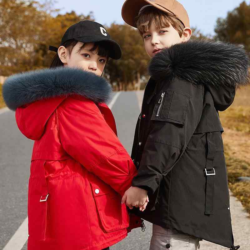 ダウンジャケット キッズ 男女兼用 中綿入り コート 子供服 アウター 取り外し可能 2点セット 120cm 130cm 140cm 150cm 160cm イエロー レッド ブラック ライトブルー