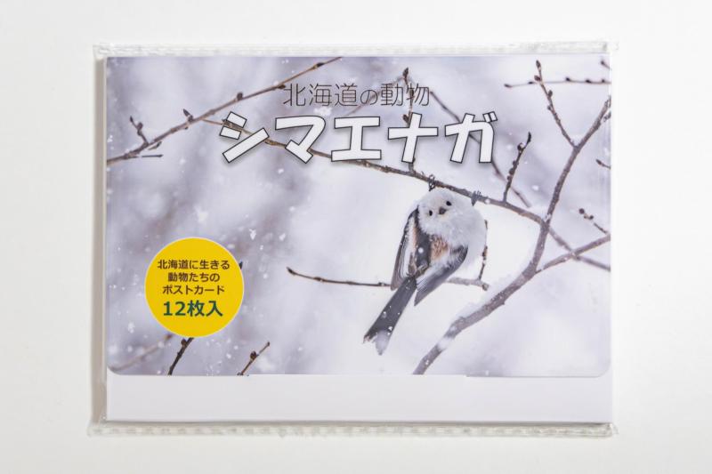 楽天市場】旭山動物園 ポストカード （3種セット）【あす楽対応_北海道