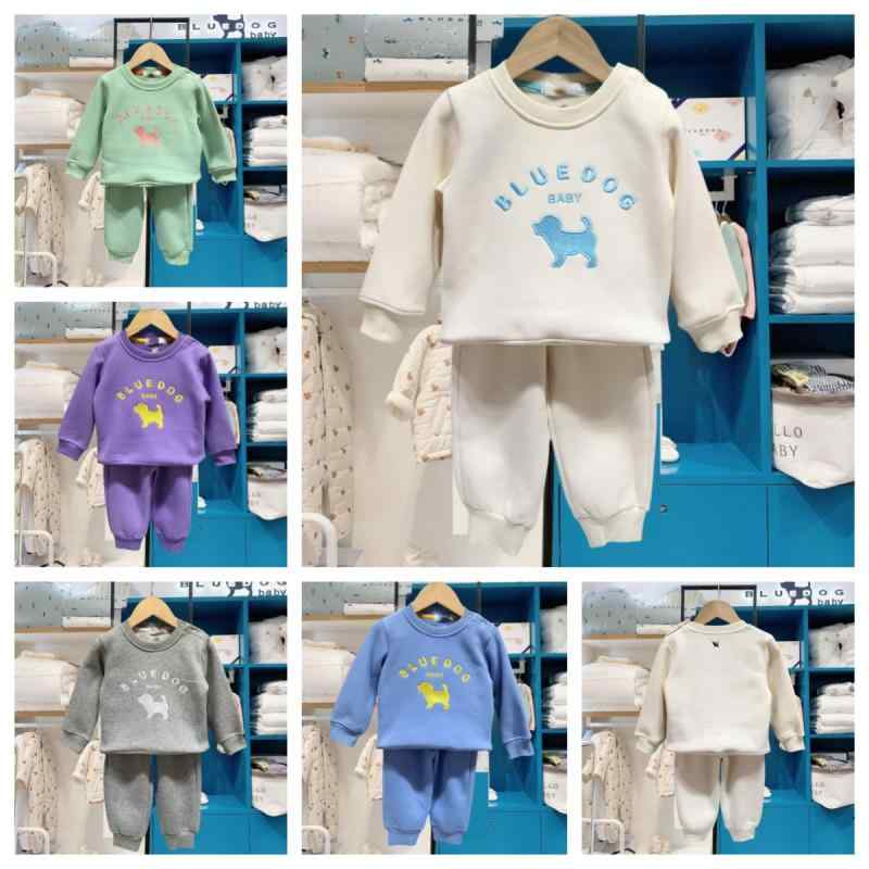 子供服 上下セット 冬 女の子 男の子 裏起毛 スウェットパンツ 2点セット 90cm 100cm 110cm 120cm 130cm かわいい 韓国風 普段着 ルームウェア 白 緑 灰色 紫 青