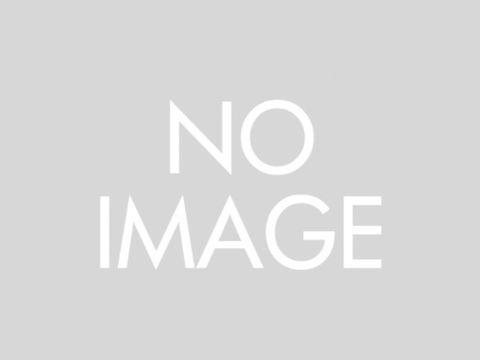 デイトナ（DAYTONA）GIVI T443D インナーバッグ V35｜47816