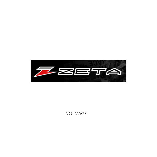 ZETA (ジータ)ヒールガード BLK DRZ400S/M　KLX125/150　XTZ125｜ZE81-2004 | eネット通販