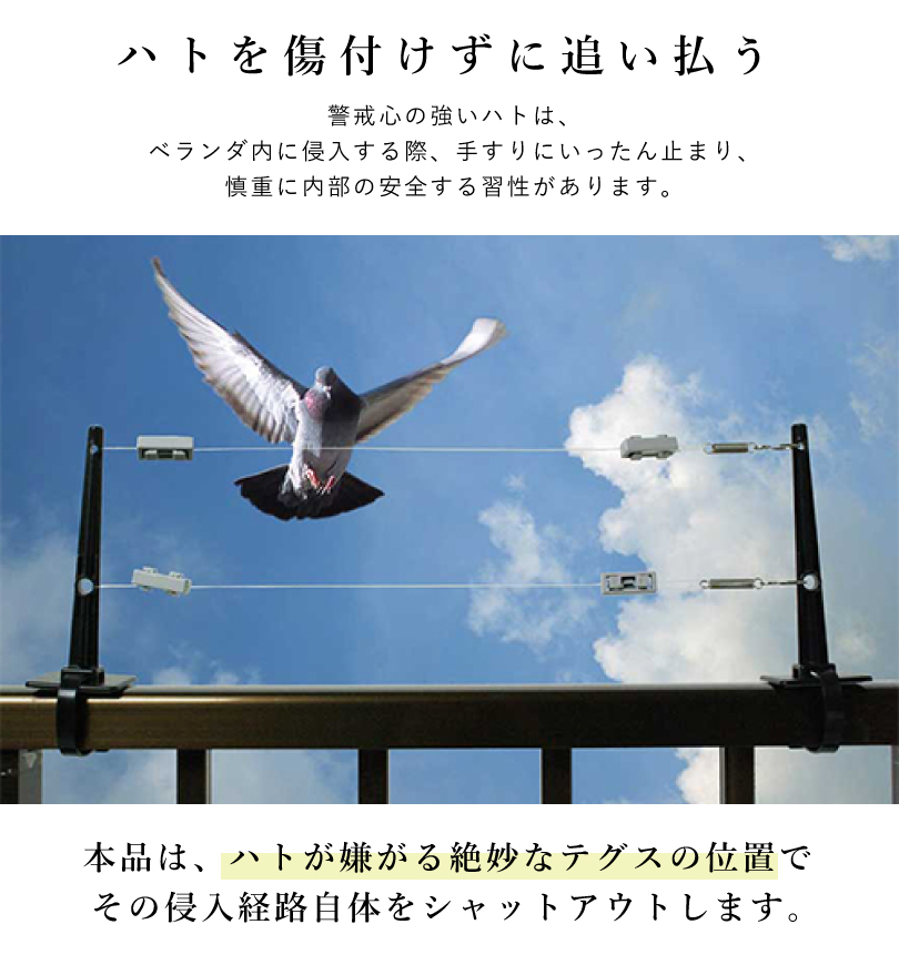 ハットラップ テグス10m ベランダ用 鳩除け ハトよけ カラス 鳩 ハト撃退 鳥eg 51 害対策 鳥よけ 手すり テグス 鳥害防止 鳥害用品 害鳥 鳥除け Mi Eg 51 Rvcconst Com