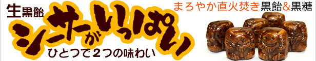 楽天市場】亀の甲せんべい 8枚入 /塩せんべい 沖縄お土産 お菓子 : 沖縄お土産通販！オキコ沖縄土産店