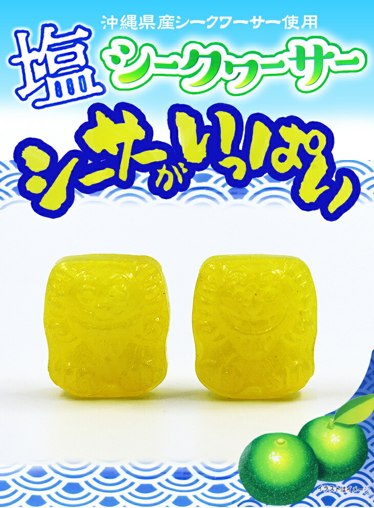 シーサーがいっぱい 塩シークワーサー 80g 50袋 送料無料 飴 シークワーサーキャンディ 飴 塩シークワーサー 1ケース 沖縄お土産 お菓子 沖縄お土産通販 オキコ沖縄土産店一粒で二度おいしい シーサーがいっぱい 塩シークワーサー 80g 50袋 送料無料 飴 シークワーサーキャンディ 飴 塩シークワーサー 1ケース 沖縄お土産 お菓子 沖縄お土産通販 オキコ沖縄土産店一粒で二度おいしい