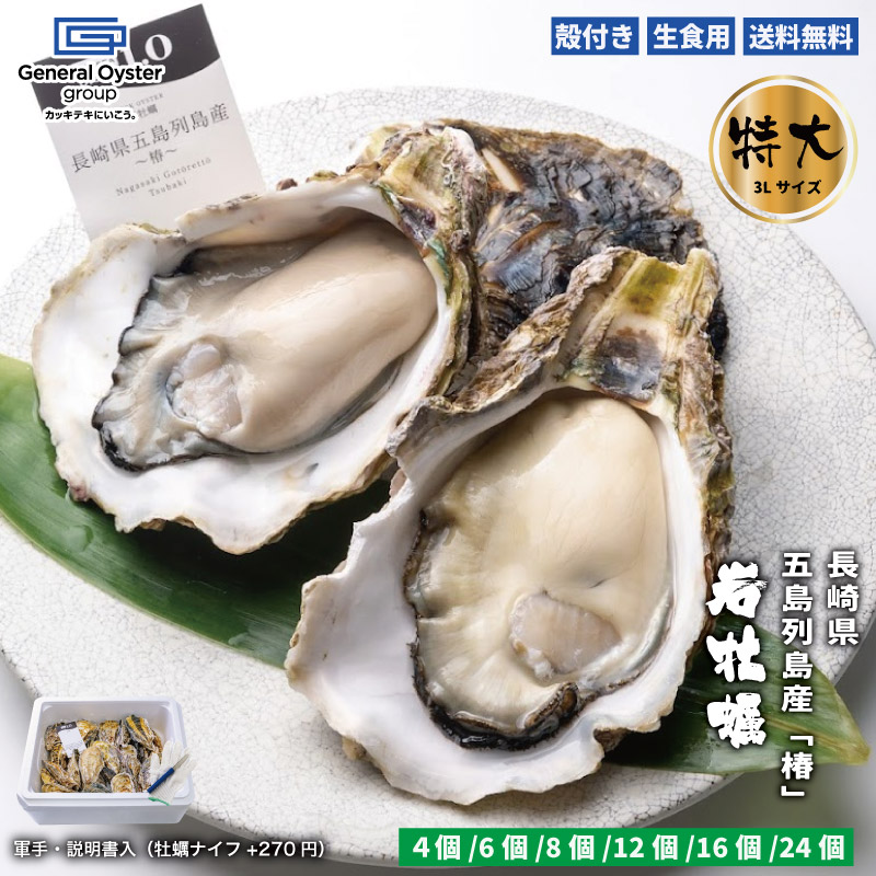 生食用 殻付き 岩牡蠣 長崎県 五島列島産『椿』超特大サイズ（約300g以上～/個）3L【4個/6個/8個/12個】特許取得済 海洋深層水で浄化された安心・安全な生牡蠣 【軍手・説明書入（牡蠣ナイフ+270円）】 冷蔵 かき カキ 牡蛎