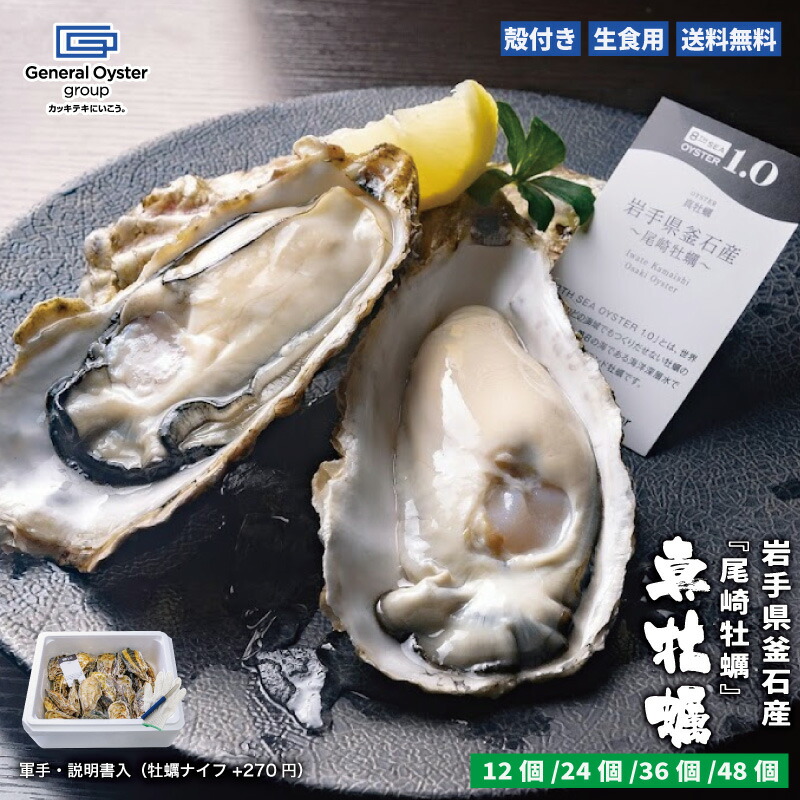 なます皿 浅鉢 龍 牡丹 松竹梅 唐草 金彩 訳あり 貫入 江戸 古伊万里