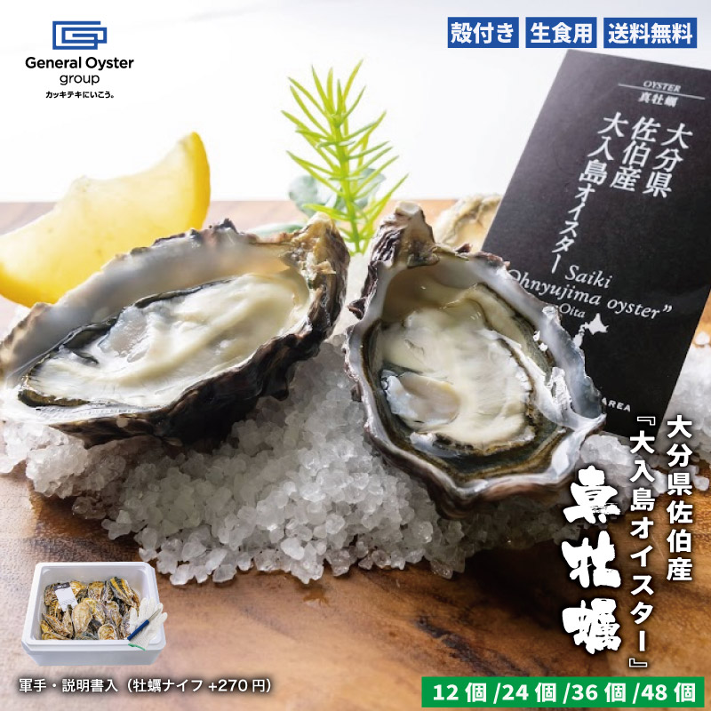 古銭 絵銭 中国 嘉慶通宝 銀製？背大福(直径37.3mm/20.9g）珍品 古銭 絵銭 中国 嘉慶通宝 銀製？背大福(直径37.3mm/20.9g）珍品 古銭