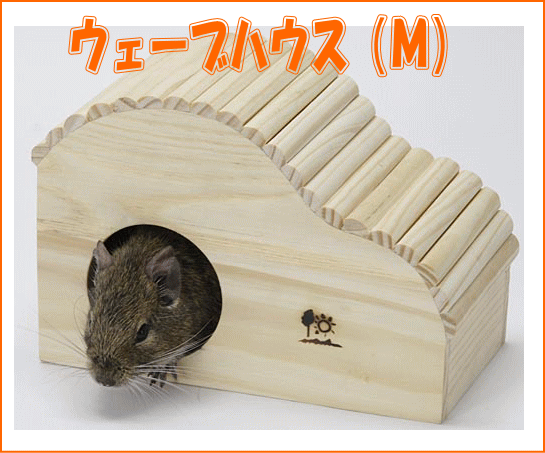 楽天市場】ゴールデンハムスター・シマリス・デグー等の小動物に対応