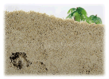 再再販 三晃商会 オカヤドカリのサンゴ砂 お徳用 2kg Ie Monogatari Jp