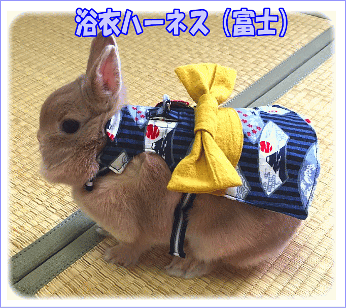 楽天市場】[アモワークス]うさぎ用バンダナ水玉おめかしバンダナ