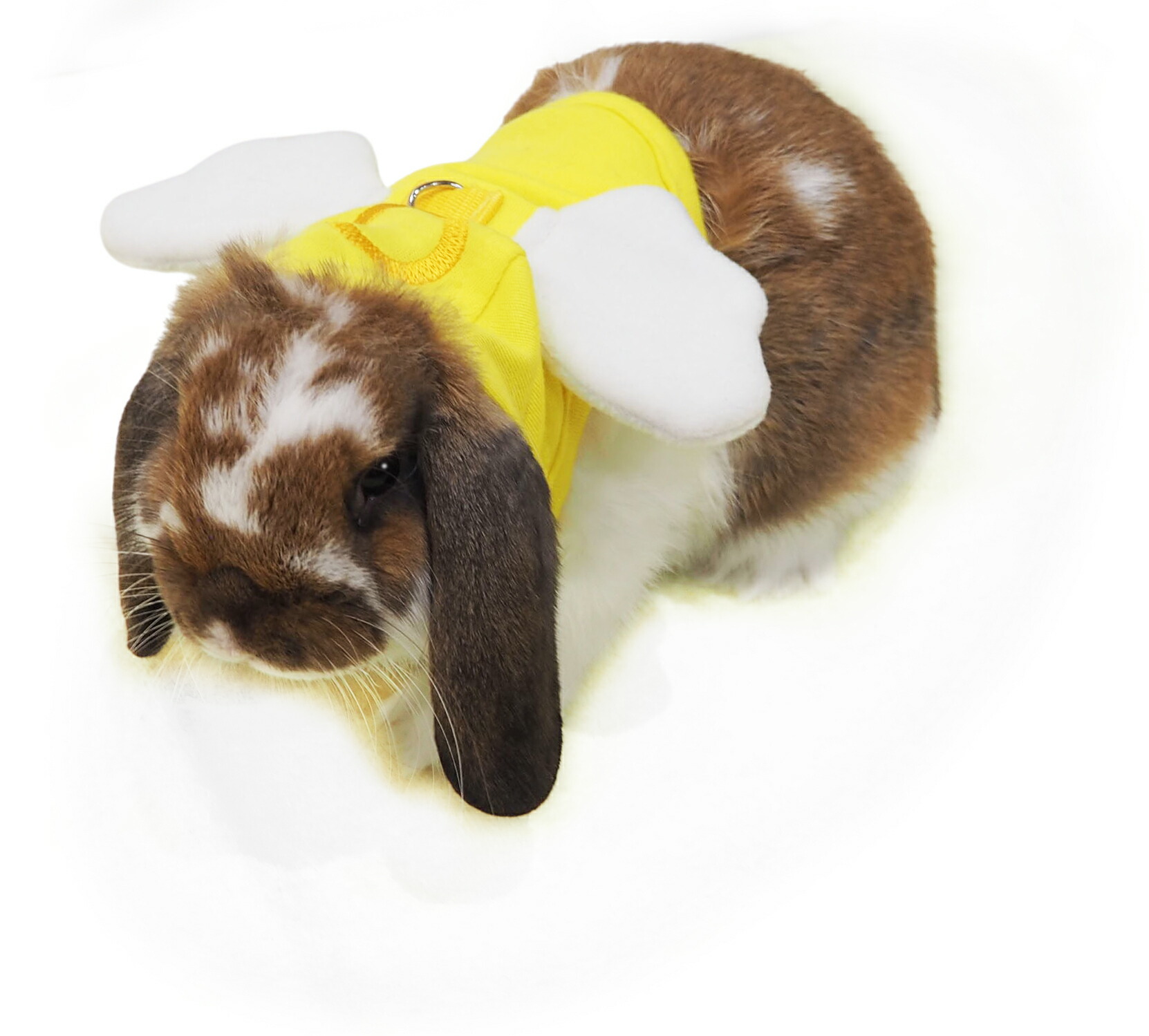 楽天市場】うさぎのハーネスウエア ランランハーネスウエア