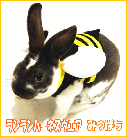 楽天市場 レインボー うさぎのハーネスウエアランランハーネスウエア みつばち リードは付属していません E ペット屋さん