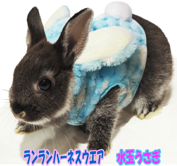 楽天市場 レインボー うさぎのハーネスウエアランランハーネスウエア 水玉うさぎ リードは付属していません E ペット屋さん