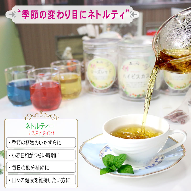 【森のこかげ】ネトルティー [1.5g×70p]「ティーバッグ」 業務用 西洋イラクサ 季節の変わり目に シングル ハーブティー ねとるてぃー (残留農薬検査済み) 北海道 沖縄 離島も無料配送可 森のこかげ ハーブTB ハ徳T