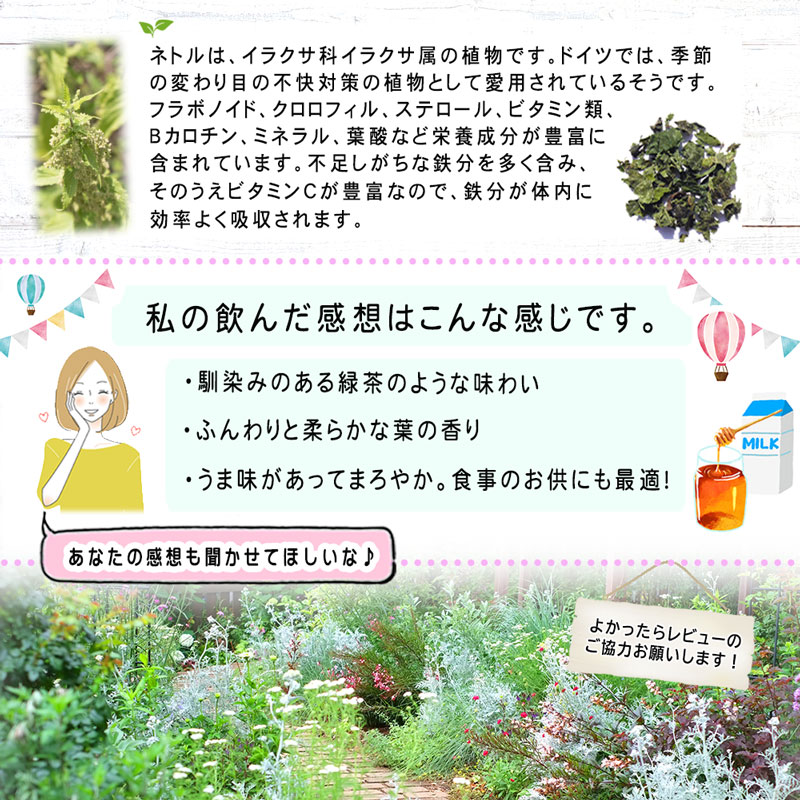 【森のこかげ】ネトルティー [1.5g×70p]「ティーバッグ」 業務用 西洋イラクサ 季節の変わり目に シングル ハーブティー ねとるてぃー (残留農薬検査済み) 北海道 沖縄 離島も無料配送可 森のこかげ ハーブTB ハ徳T
