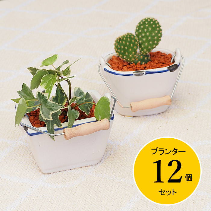 鋳鉄製装飾プランター B 2点セット 楽天市場】【あす楽】 水耕栽培セット 植物栽培セット シーブルー