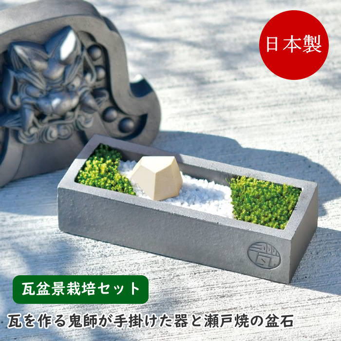 楽天市場】【あす楽】 苔 苔テラリウム 栽培セット 瓦盆景 KAWARA