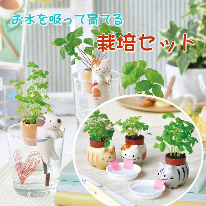 【おかみもなか】植物セット 楽天市場】【即出荷】 栽培セット しっぽん イヌ GD-66001 ネコ