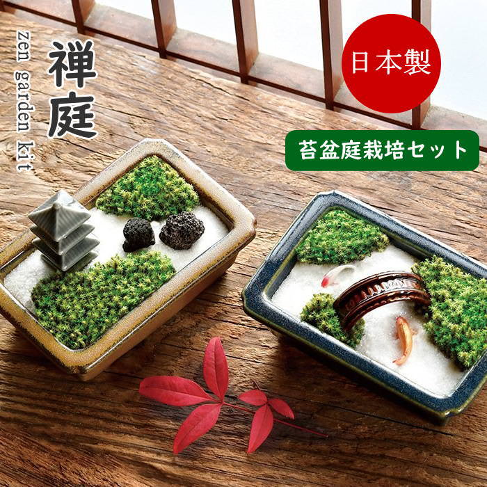 楽天市場】【あす楽】 苔 苔テラリウム テラリウム キット 栽培セット