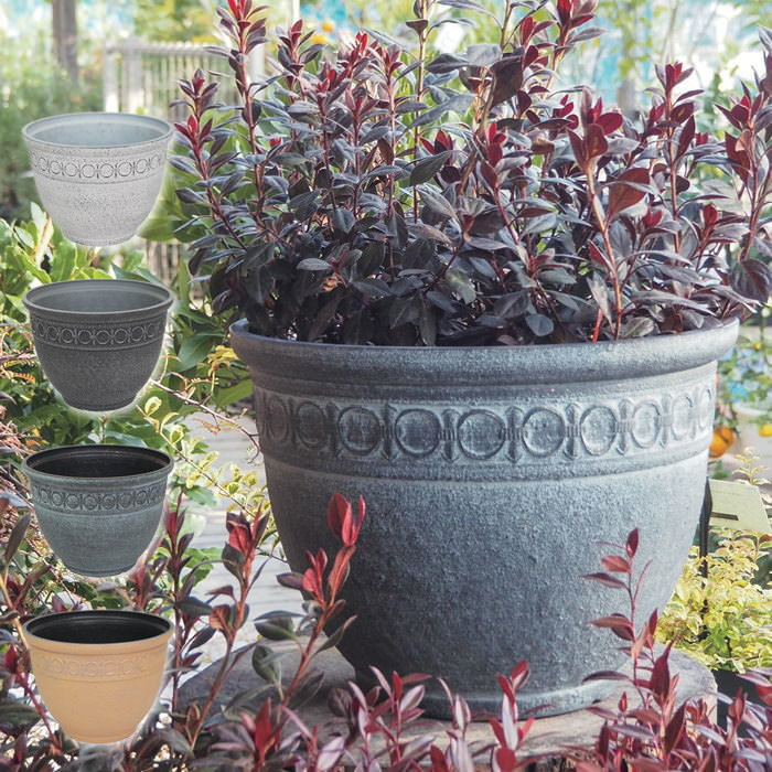 楽天市場】アンティーク風 プラスチック鉢 角浅20型【プランター