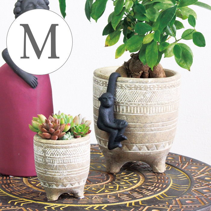 楽天市場】【あす楽】 植木鉢 おしゃれ 大型 丸型 観葉植物 屋外 室内