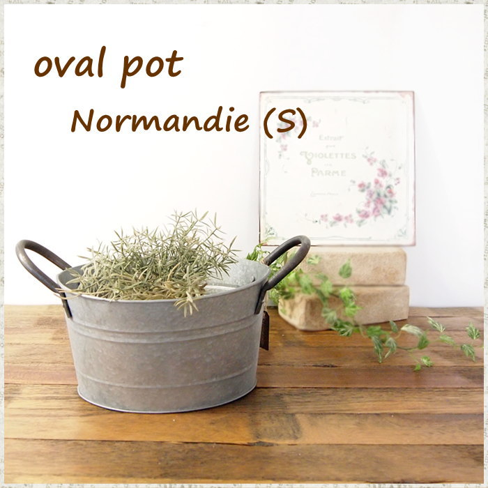 E Piglet Planter Pot Plants Pots Cover Garden Tin Resin Pot Normandy S Storage Group Planting And Garden Accessory Stylish Tin Planter