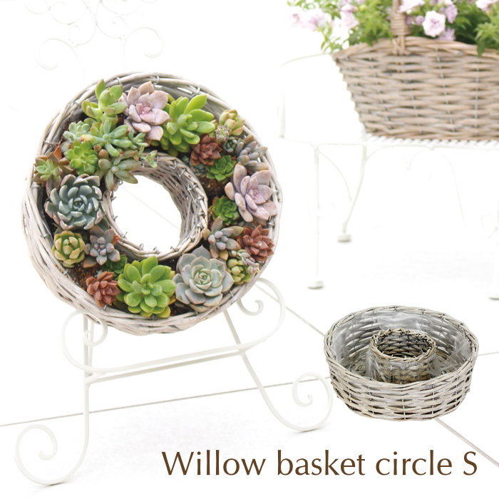 楽天市場】【あす楽】 プランター ウィローサークルアレンジ大 5256