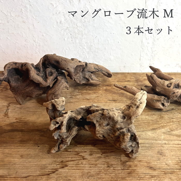 MRW-6106 マングローブ系天然流木　レイアウトセット　流木　アクアリウム レイアウトセット】マングローブ系流木 60cm用 | レイアウト素材