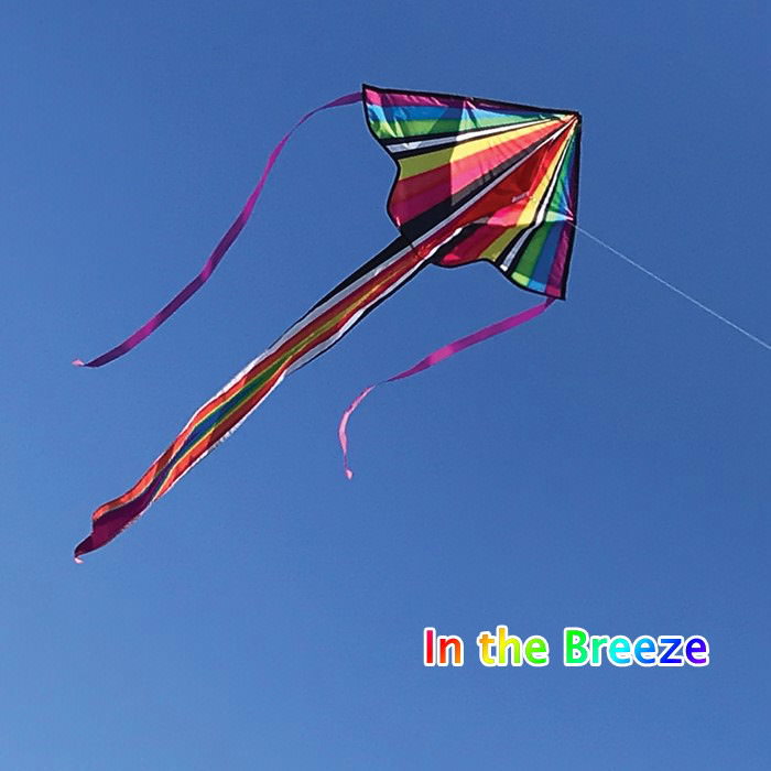 楽天市場】【即出荷】 カイト 凧 たこ kite タコ スポーツカイト in