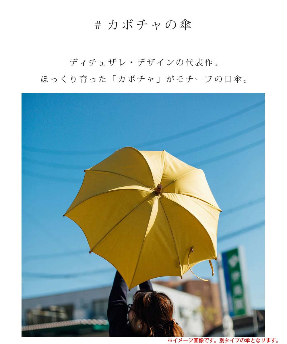 人気ショップが最安値挑戦 楽天市場 日本製 デザイナーズブランド 日傘 Dicesare Designs Kabocha ディチェザレ デザイン カボチャ Kabocha 日傘 Regalia 女性用 日本製 傘 日傘 かさ カサ おしゃれ お洒落 かわいい 婦人用 深張り ドーム型 デザイン 通販 高級