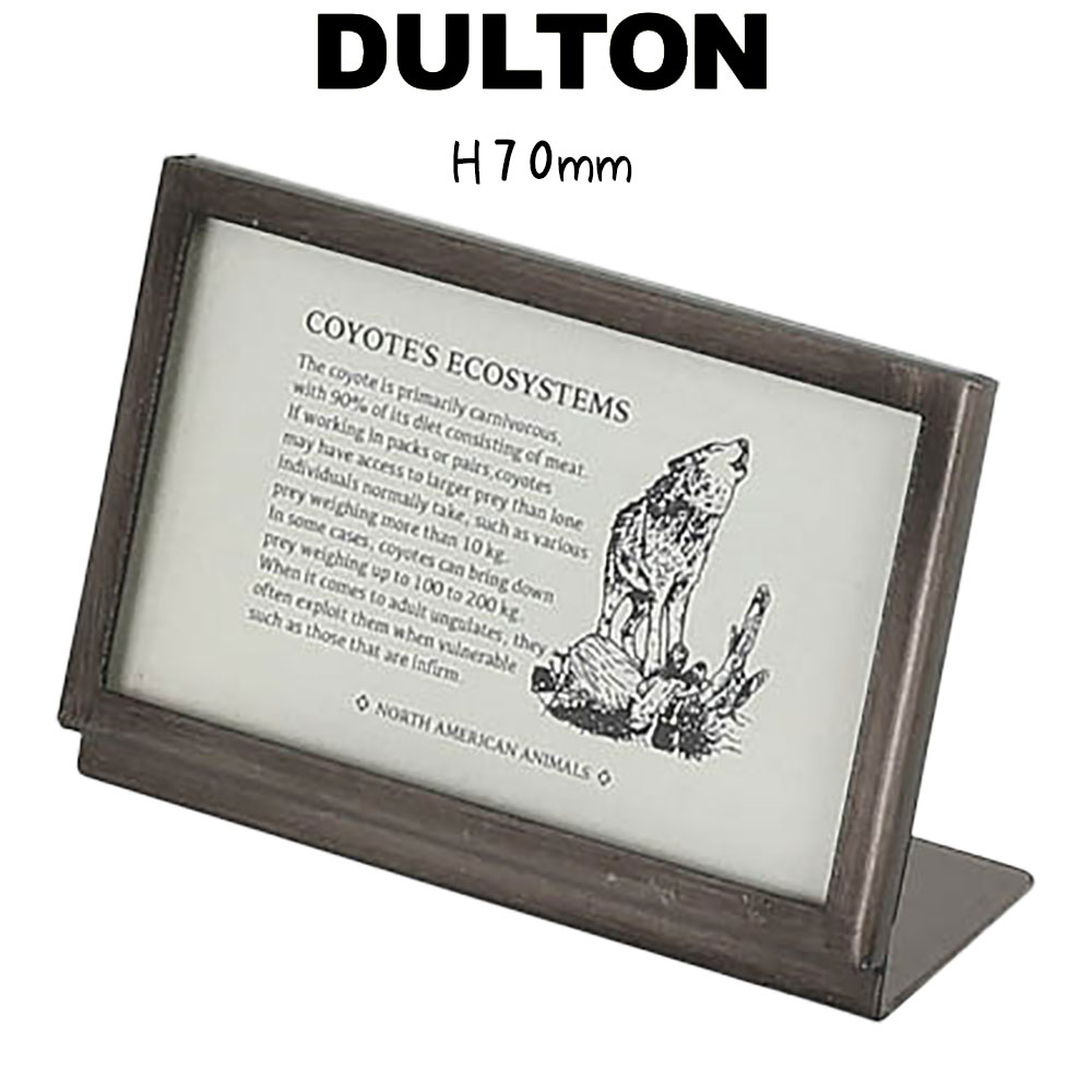 楽天市場】DULTON ダルトン メタル フレーム 10 フォトフレーム
