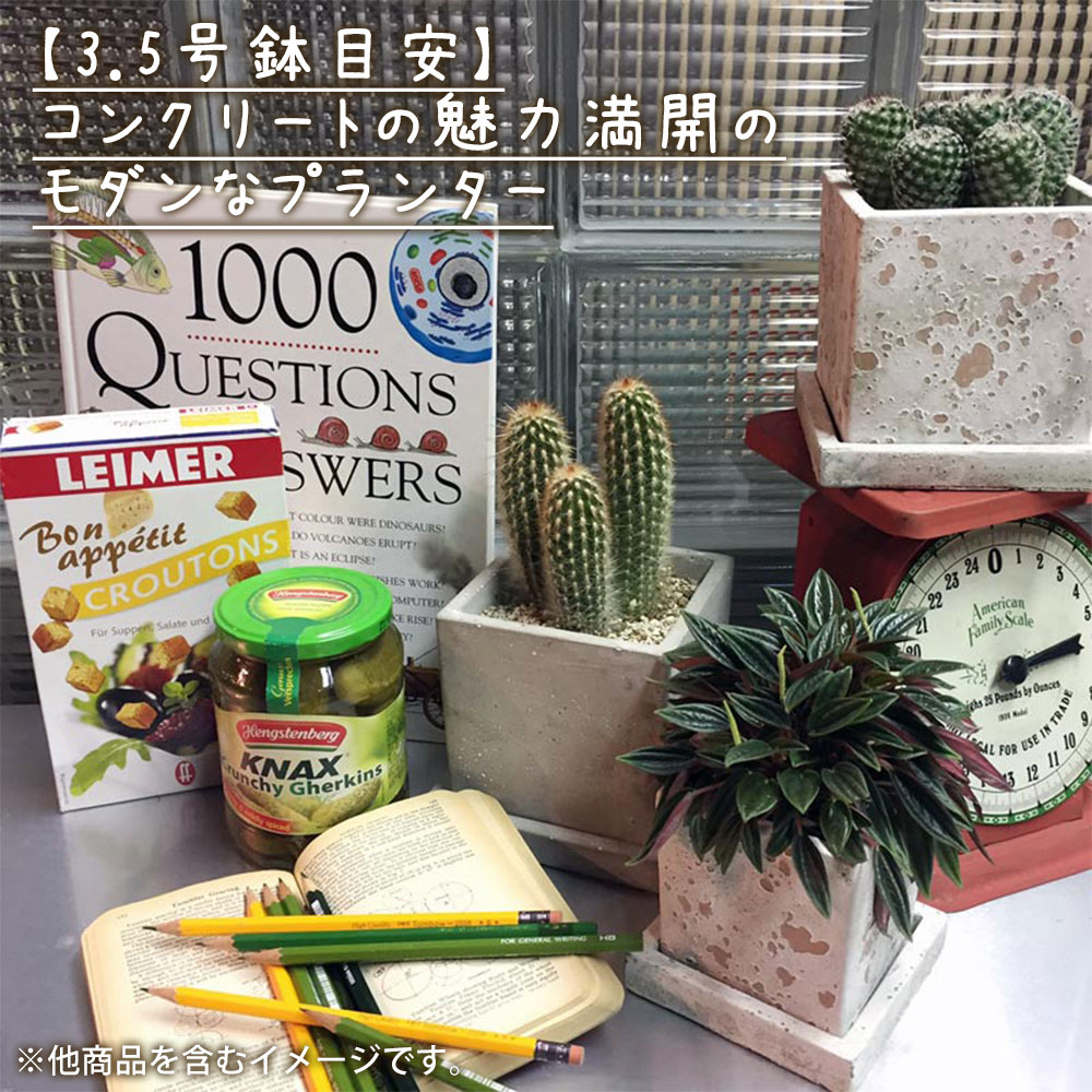 Dulton ダルトン ソリッド プランター キューブ L 植木鉢 鉢 鉢植え ポット 3 5号鉢 コンクリート おしゃれ シンプル ナチュラル 可愛い かわいい 小さい 小さめ 角 四角 正方形 スクエア 受け皿付き ソーサー付き インテリア ディスプレイ 室内用 屋外用