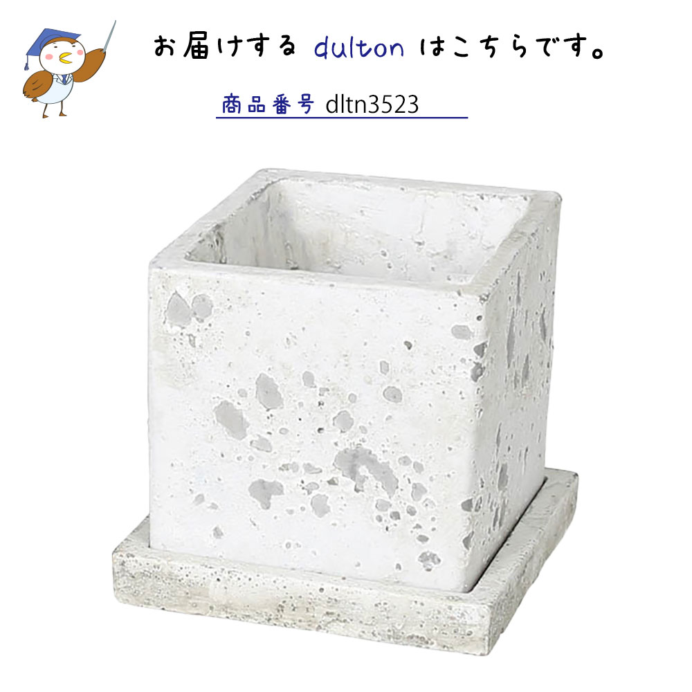 Dulton ダルトン ソリッド プランター キューブ L 植木鉢 鉢 鉢植え ポット 3 5号鉢 コンクリート おしゃれ シンプル ナチュラル 可愛い かわいい 小さい 小さめ 角 四角 正方形 スクエア 受け皿付き ソーサー付き インテリア ディスプレイ 室内用 屋外用