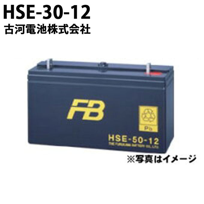 受注生産品 古河電池 古河電池 HSE-30-12 御弁式据置鉛蓄電池 12V 30Ah バッテリー おすすめ 蓄電池 インバータ HSE-30-12古河電池 制御弁式据置鉛蓄電池 HSE 非常照明 操作 制御 計装用 発電機 エンジン始動用 更新 取替え 取り替え 家庭用 小型