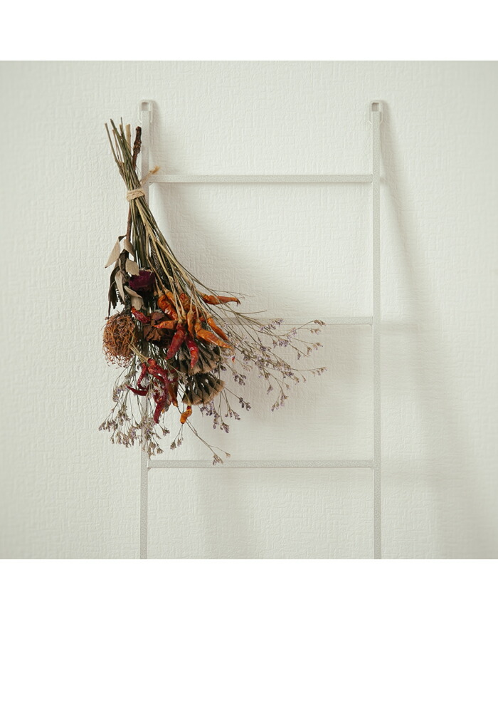 Accent ラダーラック ピッコラ はしご 収納 ディスプレイ 飾り棚 アイアン壁面収納 シンプル インテリア シェルフ ちょい置 高品質 隙間 インテリア おしゃれ お出かけ準備 はしご型 ハンガーラック ホワイト ブラック ブロンズ 白 黒 幅30cm ラダーハンガー コンパクト