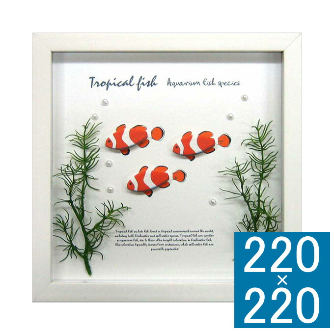 楽天市場】アートフレーム Aqua Frame Blue Tang アートフレーム