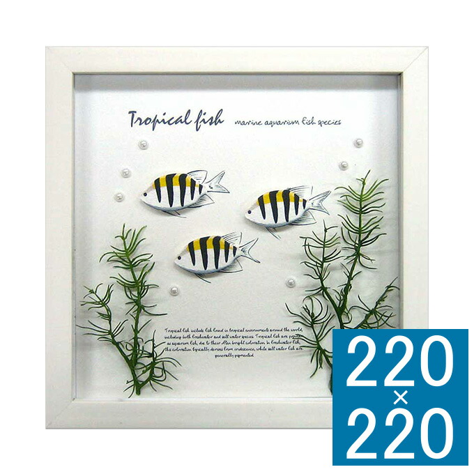 楽天市場】アートフレーム Aqua Frame Blue Tang アートフレーム