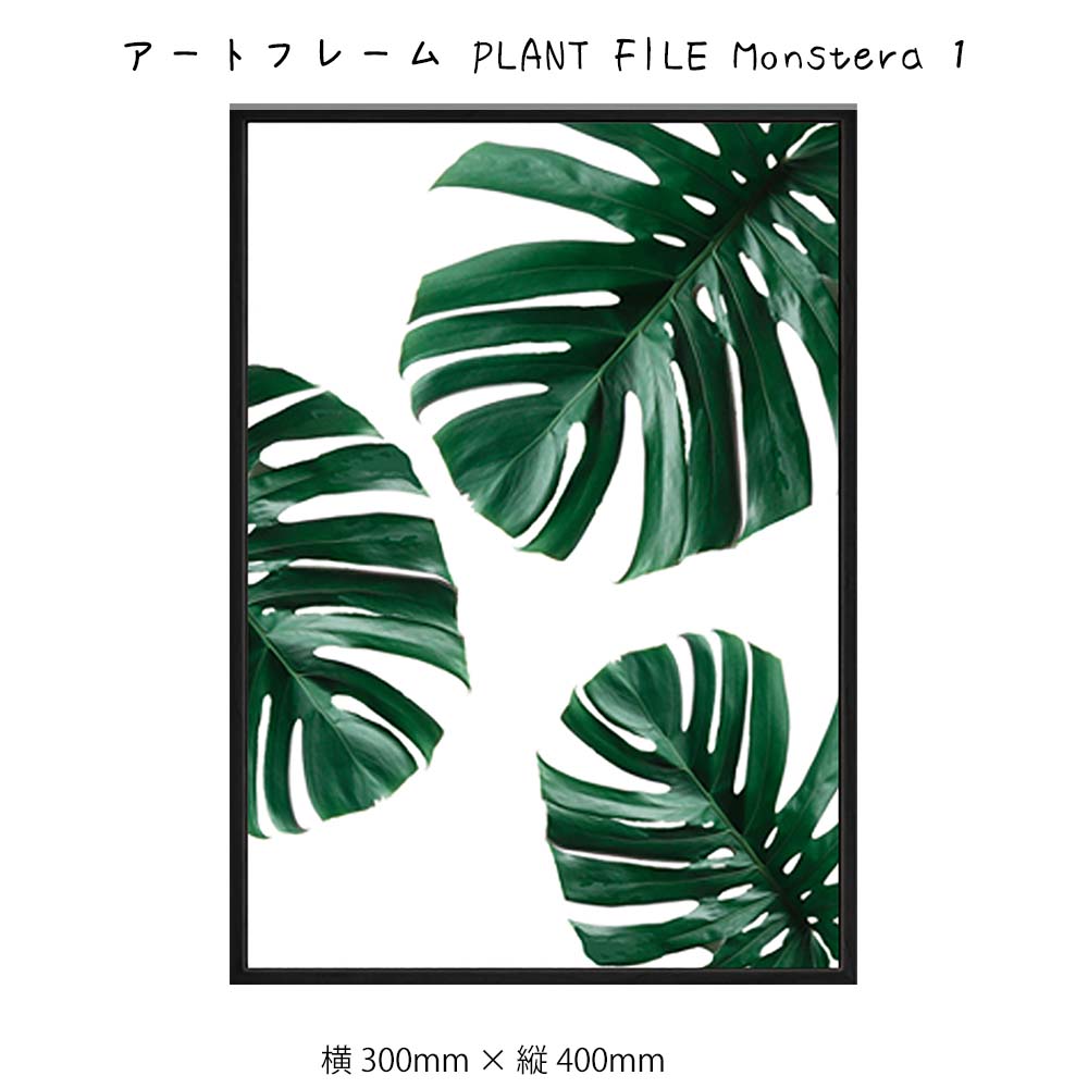 激安単価で 楽天市場 アートフレーム Plant File 壁掛け 絵画 横300mm 縦400mm 壁飾り 額縁 ポスター フレーム パネル おしゃれ 飾る 記念 ギフト かわいい 結婚式 プレゼント 新品 模様替え 出産祝い 壁 玄関 リビング 寝室 子ども部屋 プリズム 全国組立設置無料