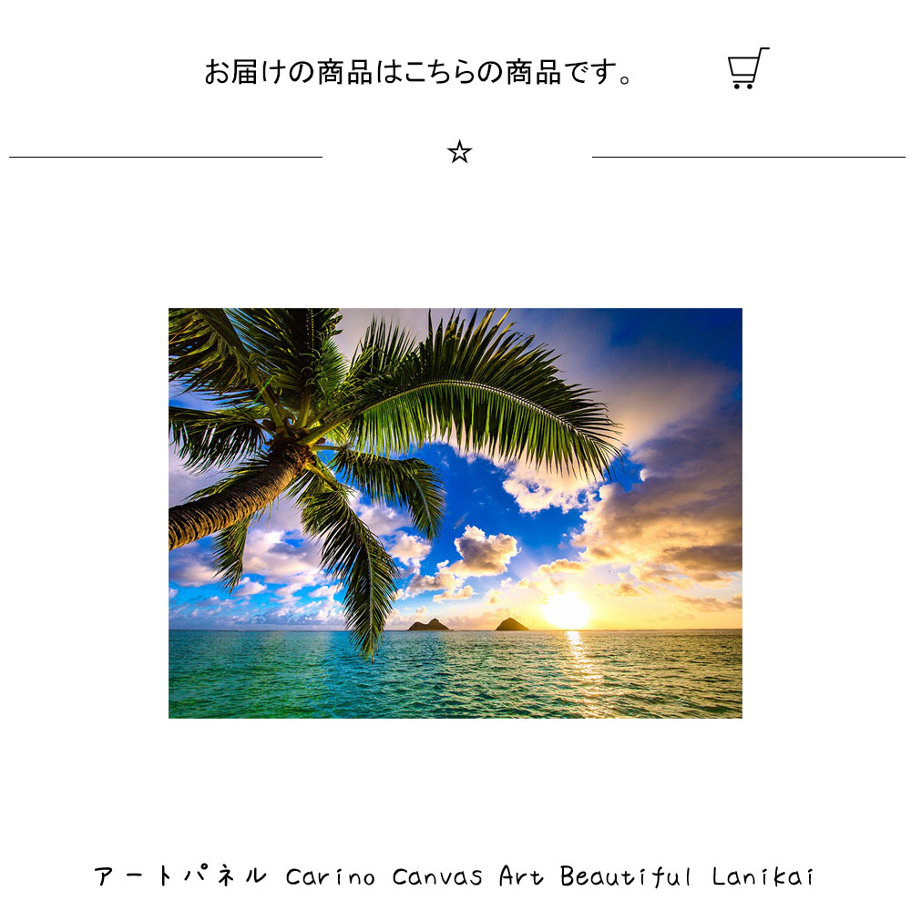 楽天市場 アートパネル Carino Canvas Art Beautiful Lanikai キャンバスアート 絵 壁掛け 壁飾り アートポスター 風景画 700 500mm インテリア おしゃれ モダン アート 色彩 スタイリッシュ 海 南国 リゾート ヤシの木 フレーム パネル 壁飾り 飾る ギフト プレゼント