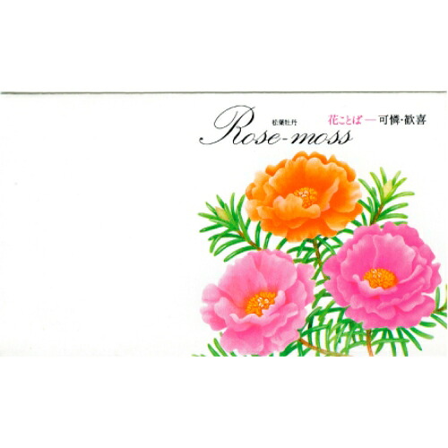 名入れ　花の種子　松葉牡丹｜カレンダー販売のいい暦店